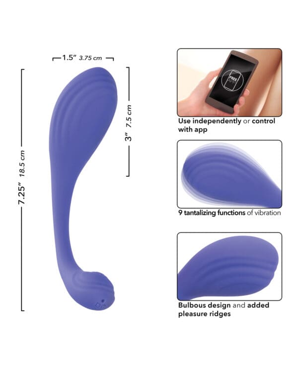 Connect App Based Kegel Exerciser - Image 3