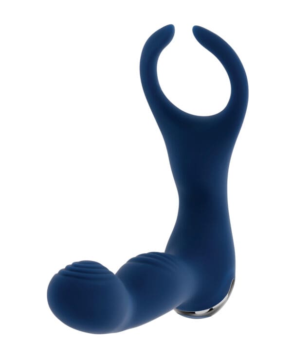 Zero Tolerance By All Means Prostate Vibrator w/Remote Control - Blue - Image 2