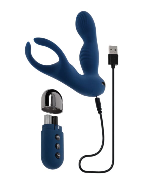 Zero Tolerance By All Means Prostate Vibrator w/Remote Control - Blue - Image 5
