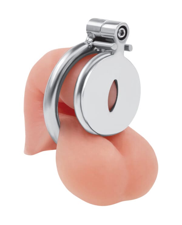 Lockmaster Stainless Steel Inverted Chastity Cage w/Cats Eye - Silver - Image 2