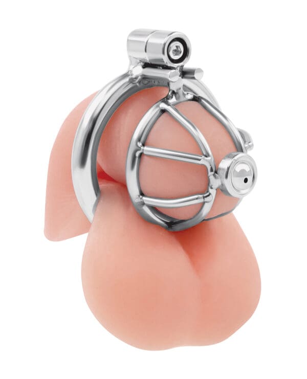 Lockmaster Stainless Steel Inverted Micro Chastity Cage w/Urethral Straw - Silver - Image 2