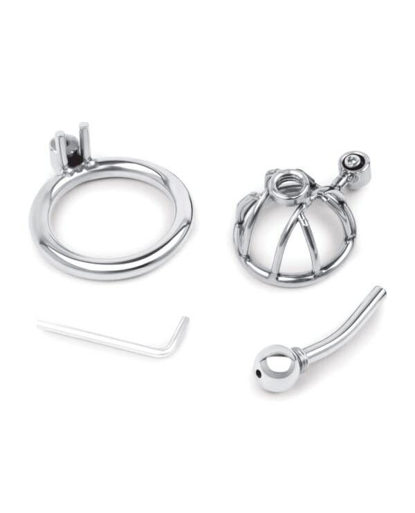 Lockmaster Stainless Steel Inverted Micro Chastity Cage w/Urethral Straw - Silver - Image 3