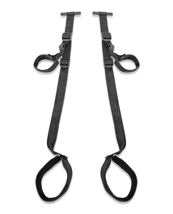 Fetish Fantasy Series Door Swing - Image 2