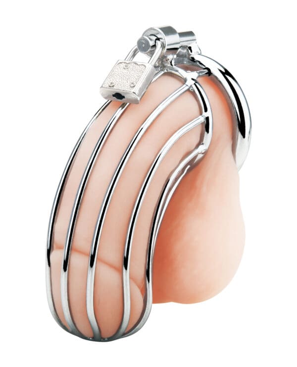 Blue Line Prisoner Cock Cage - Silver - Image 2