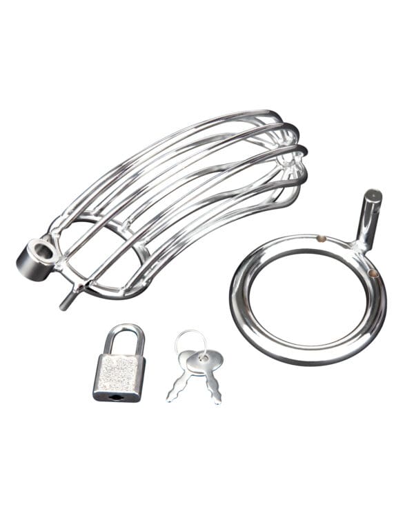 Blue Line Prisoner Cock Cage - Silver - Image 4