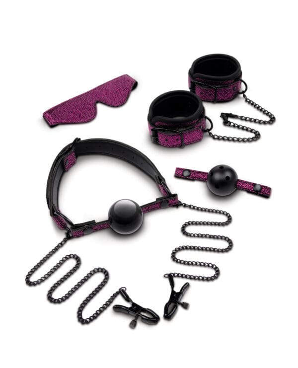 WhipSmart Dragon's Lair Bondage 5 Piece Kit - Image 2
