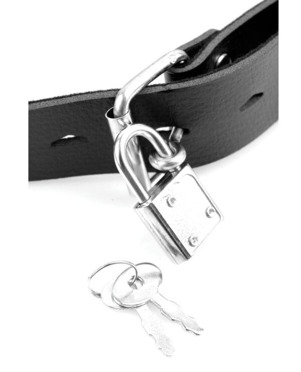 Fetish Fantasy Series Deluxe Ball Gag w/Dong - Image 4