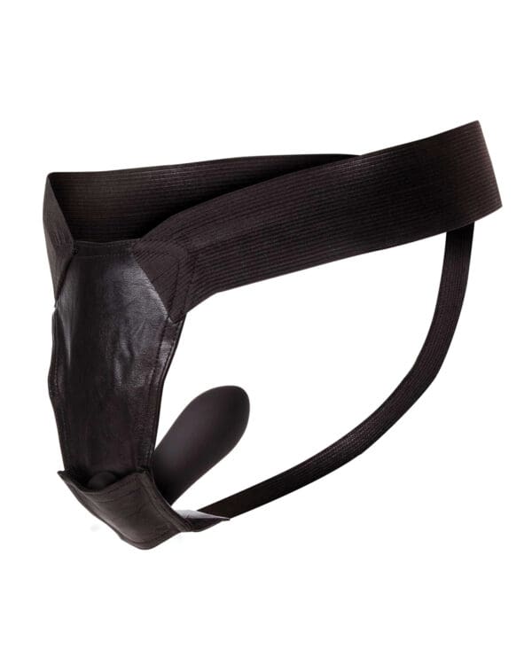 Remote Control Fantasy Panty Black O/S - Image 3