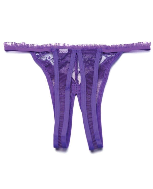 Scalloped Embroidery Crotchless Panty Purple O/S - Image 2