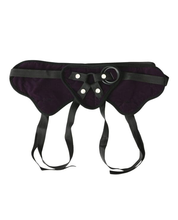 Plus Size Beginners Strap On Harness - Purple - Image 2