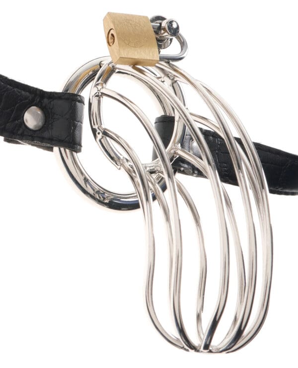 Fetish Fantasy Extreme The Prisoner Metal Cock Cage - Image 2