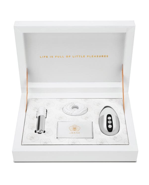 Le Wand Little Pleasures 6 pc Kit - Chrome - Image 5