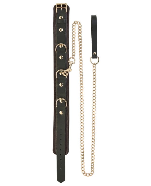 Spartacus Collar & Leash - Brown Leather w/Gold Accent Hardware - Image 2