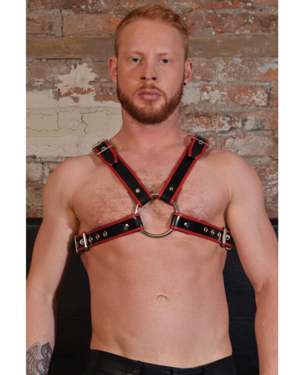 Rouge Chest Harness Large - Black/Red - Image 2