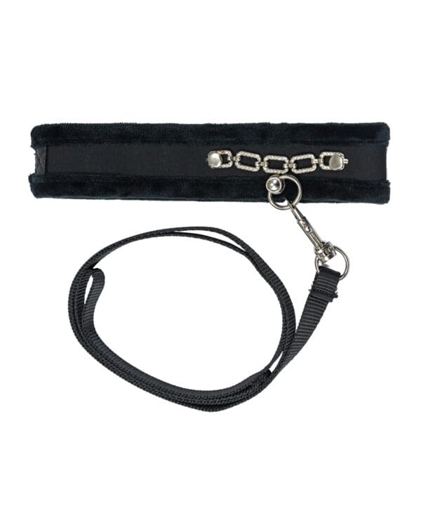 Punishment Crystal Detail Collar & 37" Leash - Image 3