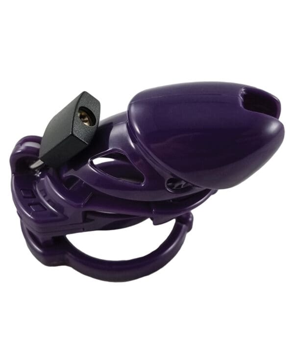 Locked In Lust The Vice Standard - Purple - Image 2