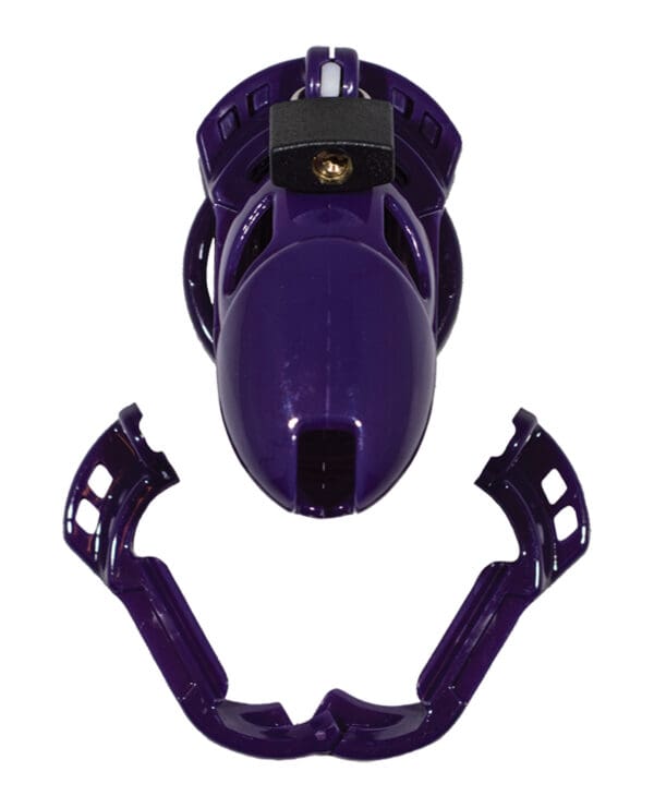 Locked In Lust The Vice Standard - Purple - Image 3