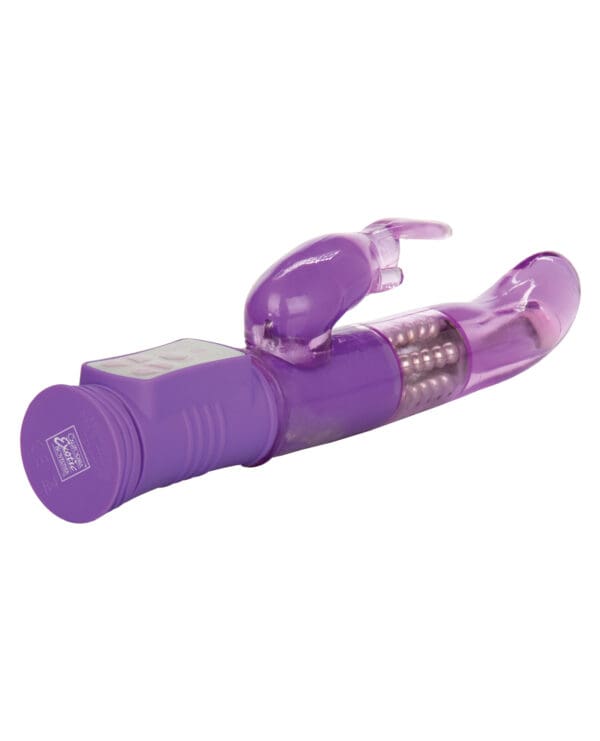 Shane's World Jack Rabbit G - Purple - Image 5
