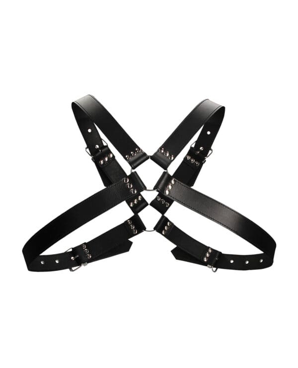 Shots Ouch Men's Large Buckle Harness - Black - Image 3