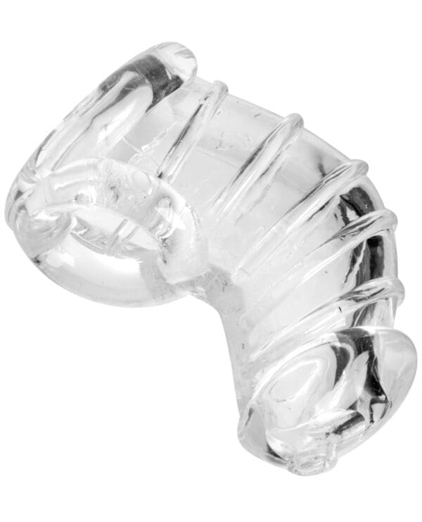 Master Series Detained Soft Body Chastity Cage - Image 2