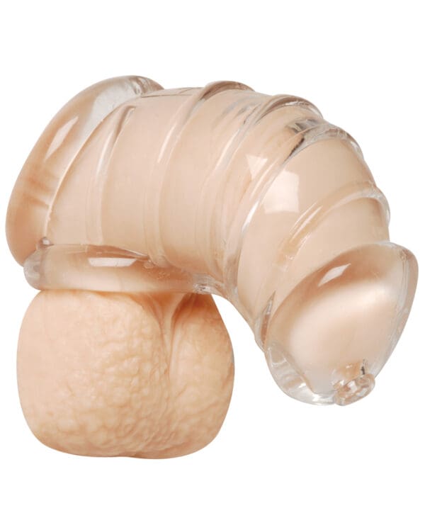 Master Series Detained Soft Body Chastity Cage - Image 3