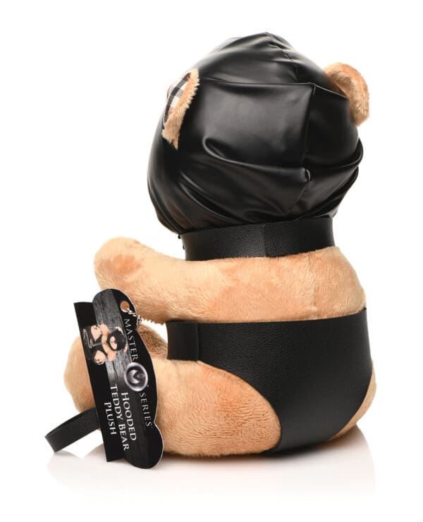 Master Series Hooded Teddy Bear Plush - Image 3