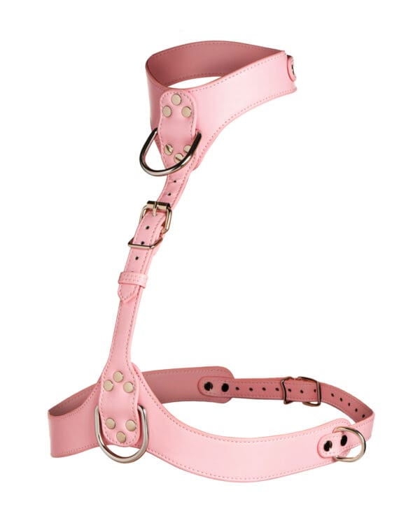 Vixen Female Chest Harness - Pink - Image 2