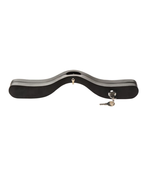 Exposed E-Stim Wooden Humbler - Image 3